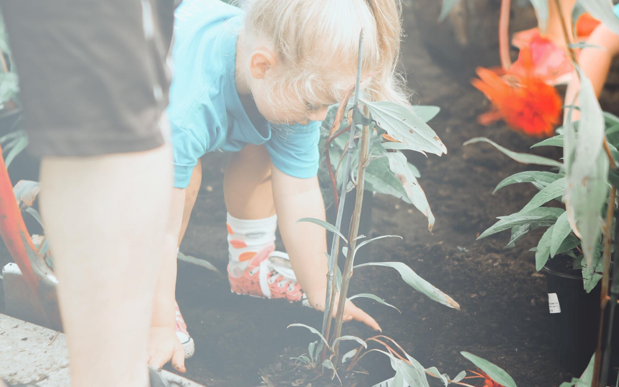 Bomen planten tijdens de boomplantdag